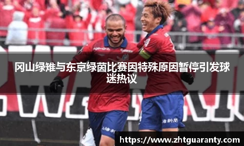 冈山绿雉与东京绿茵比赛因特殊原因暂停引发球迷热议